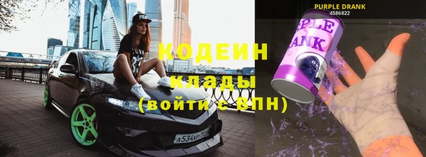 молекула духа Арсеньев