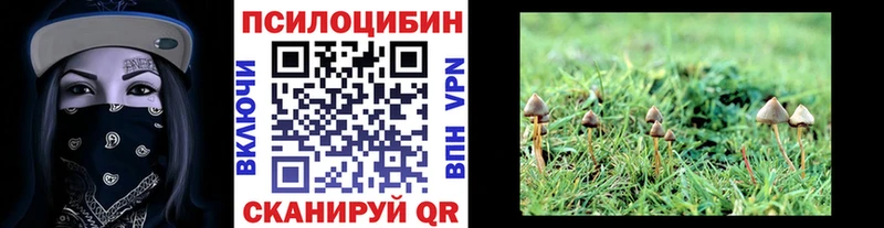 Галлюциногенные грибы мицелий площадка какой сайт Нижний Новгород где купить наркоту ссылка на мегу вход